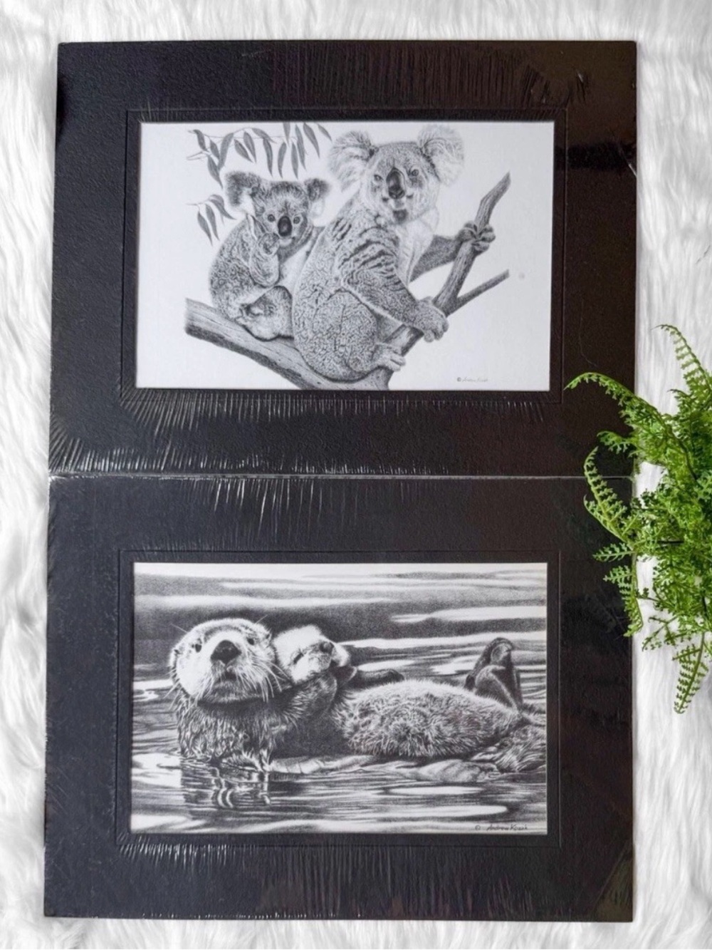 Vintage Black & White Lot Wildlife Sea Otter Koala Prints Andrew Kozak 9x12 Mat